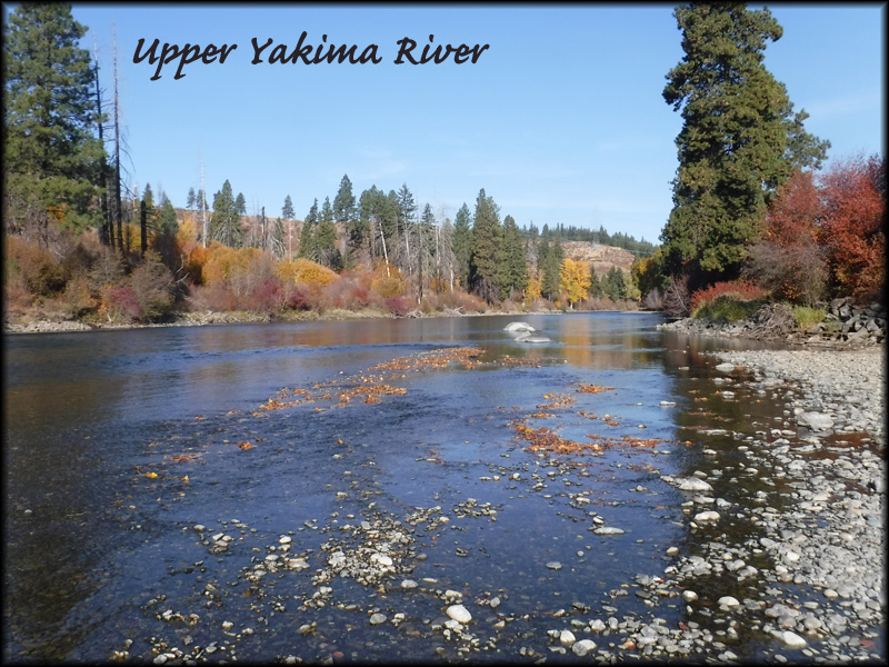 yakima